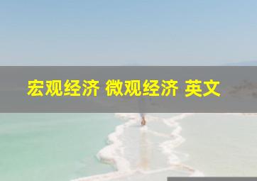 宏观经济 微观经济 英文